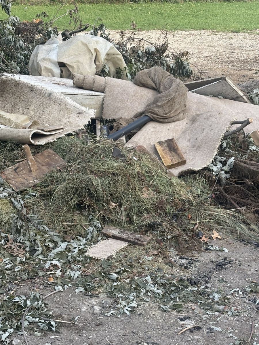 Compost Trash 2